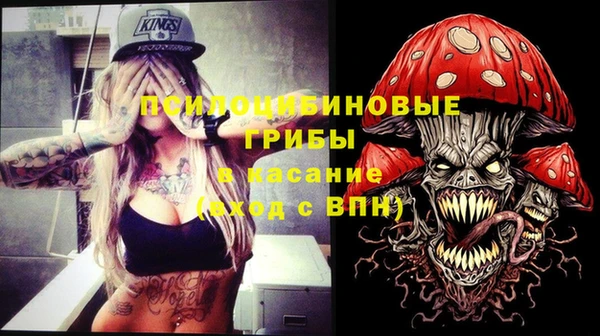 ешки Белоозёрский