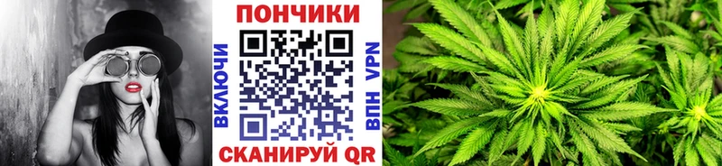 Шишки марихуана сатива Симферополь